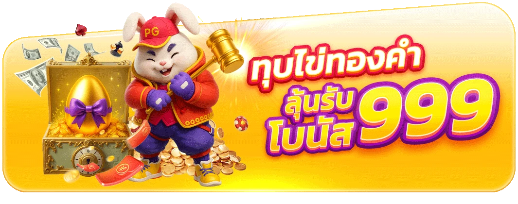 Haa555